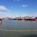 Kleine Hafenperle *